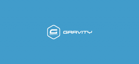 Download Monitor Gravity Forms Lock Add on 5.0.2