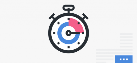 Perfmatters - Lightweight WordPress Performance Plugin 2.4.9