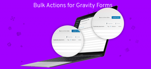 Jetsloth - Gravity Forms Bulk Actions Pro 1.4.3