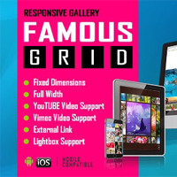 Famous - Responsive Image And Video Grid Gallery WordPress Plugin v1.0.3