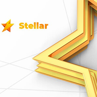 Stellar – Star Rating plugin for WordPress 2.2.4