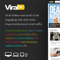 ViralVideo - Responsive Magazine WordPress Theme 2.9