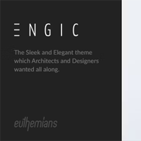 Engic - A Sleek Multiuse Responsive WordPress Theme 2.4.2