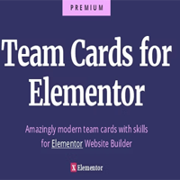 Team Cards for Elementor - Ultimate Team and Skills Widget Cards v1.0.0