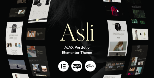 Asli – AJAX Portfolio Elementor WordPress Theme 1.8.5