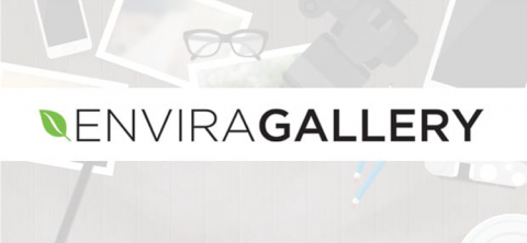 Envira Gallery Importer Addon 1.0.0